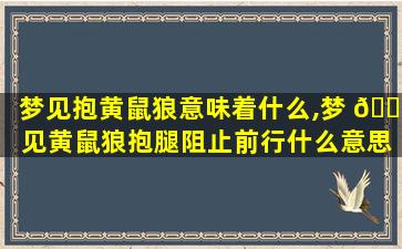梦见抱黄鼠狼意味着什么,梦 🕊 见黄鼠狼抱腿阻止前行什么意思